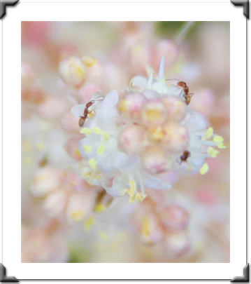The Multidimensional Museum
